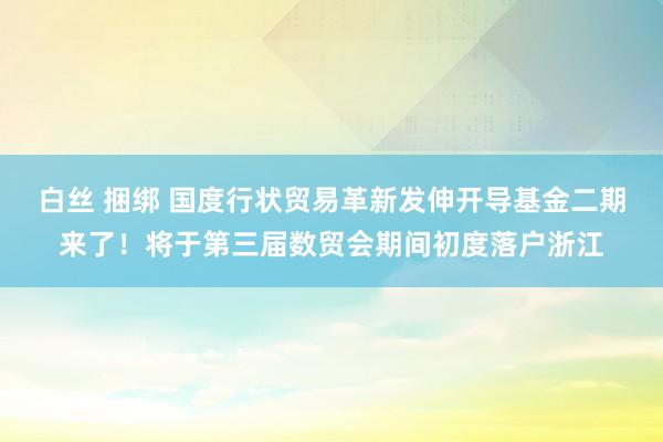   白丝 捆绑 国度行状贸易革新发伸开导基金二期来了！将于第三届数贸会期间初度落户浙江