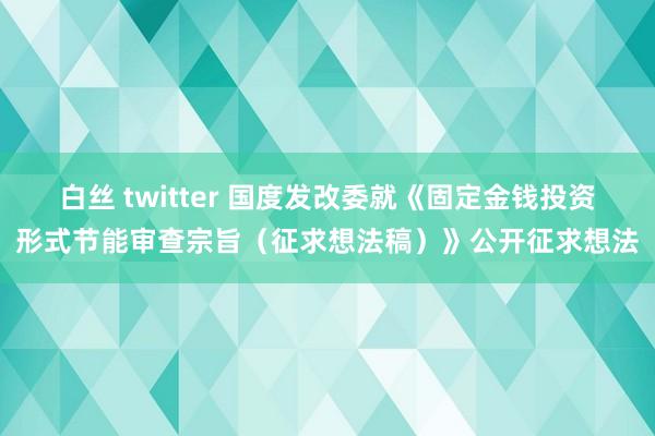 白丝 twitter 国度发改委就《固定金钱投资形式节能审查宗旨（征求想法稿）》公开征求想法