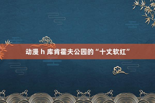 动漫 h 库肯霍夫公园的“十丈软红”