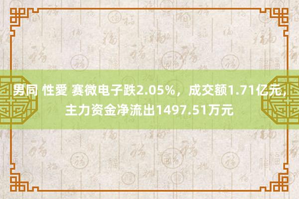 男同 性愛 赛微电子跌2.05%，成交额1.71亿元，主力资